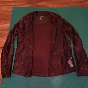 Sheer Long Sleeve Shirt and Tunic